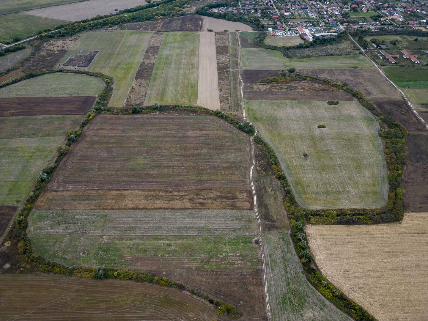 Teren agricol de 34.500mp în Albina, Județul Timiș - Poză 3