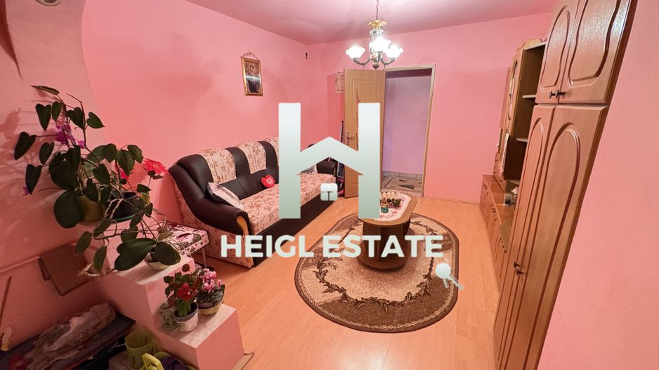 Apartament cu 3 camere in zona Dambovita - Poză 2