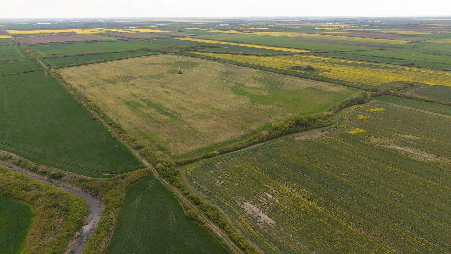 Teren investițional strategic 44.700 mp Arad Vest - Poză 15