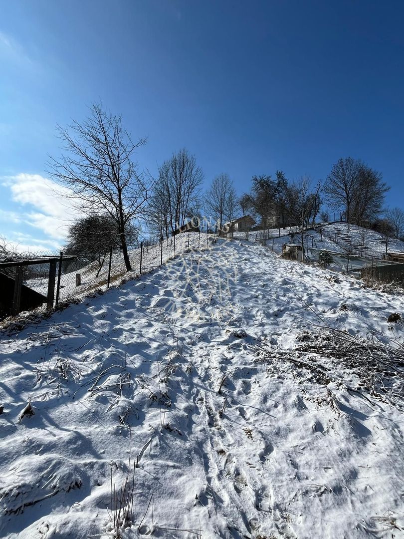 Casa la rosu-Zona Bistrita Bargaului-Teren-700mp - Poză 7