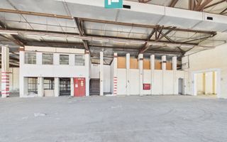 HALĂ INDUSTRIALĂ DE 800 MP DE ÎNCHIRIAT - Poză 8