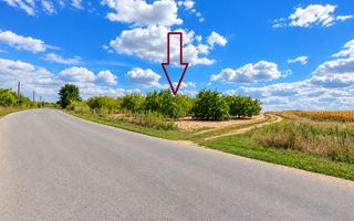 LIVADĂ DE NUCI – 24,5 HA | ȚÎNȚĂRENI, ANENII NOI - Poză 2