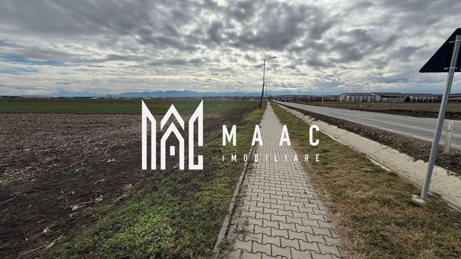 Teren intravilan | 9600 mp | Șură Mică | Utilități | Drum Asfaltat - Poză 3