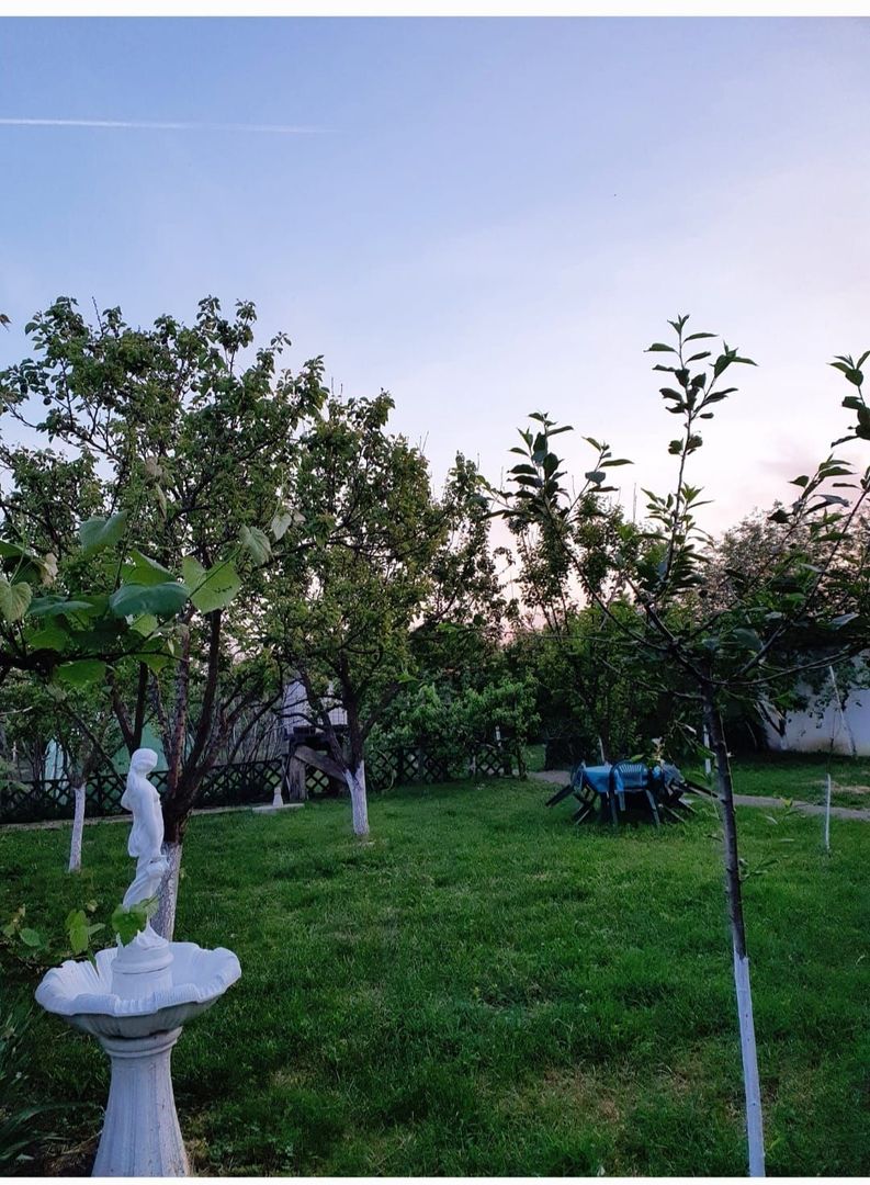 Casa | 9 camere | Garaj | Piscina | Teren 3.000 mp | Comision 0% - Poză 6