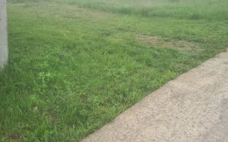 Teren intravilan de vanzare, 500 mp, Strada Soarelui - Rediu, Valea Lupului - Poză 3
