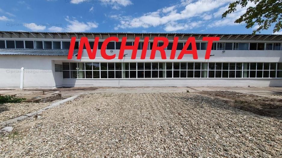 Hala Depozitare de Inchiriat Pitesti - Poză 1