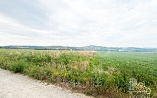 Teren extravilan Lugasu de jos, Bihor - Poză 5