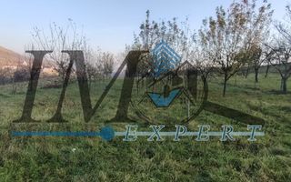 Teren intravilan în Paclisa 1785mp. - Poză 5