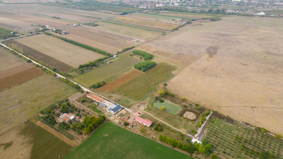 Teren intravilan cu iazuri și casă - Chișineu-Criș - Poză 10