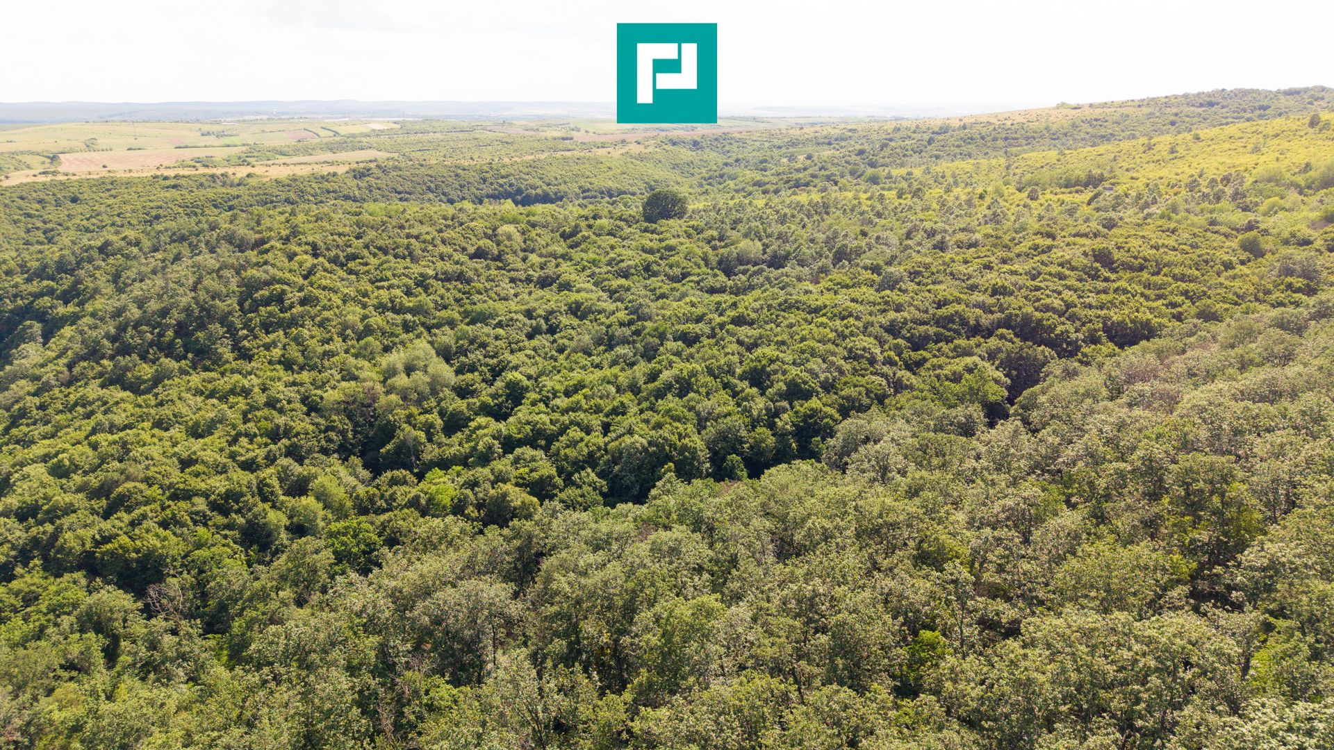 TEREN AGRICOL EXTRAVILAN  22.900 MP LIPOVA - Poză 2