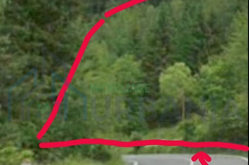 Teren intravilan zona lac Bicaz PUZ 2 nivele vedere ceahlau și lac bic - Poză 2