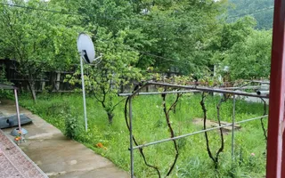 Casă P+M cu 1.558 mp teren, livadă și garaj | Barza, Gorj Comision 0%  - Poză 20