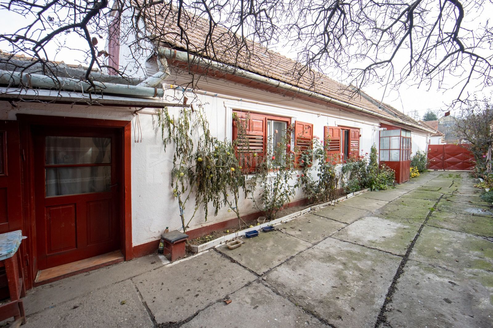 Casa de vanzare, Bod Judetul Brasov - Poză 12