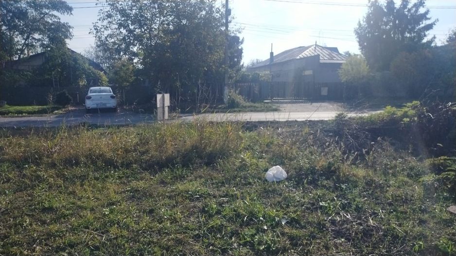 Teren de vânzare în Dascalu, judet Bucuresti Ilfov - Poză 12