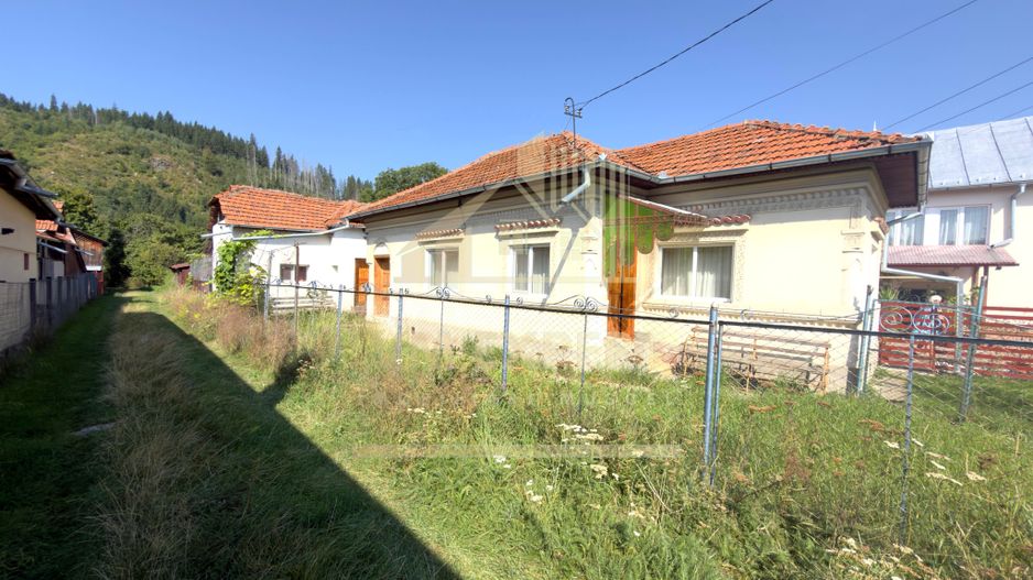 CASĂ 4 CAMERE TEREN 1316 MP LEREȘTI ARGEȘ - Poză 16