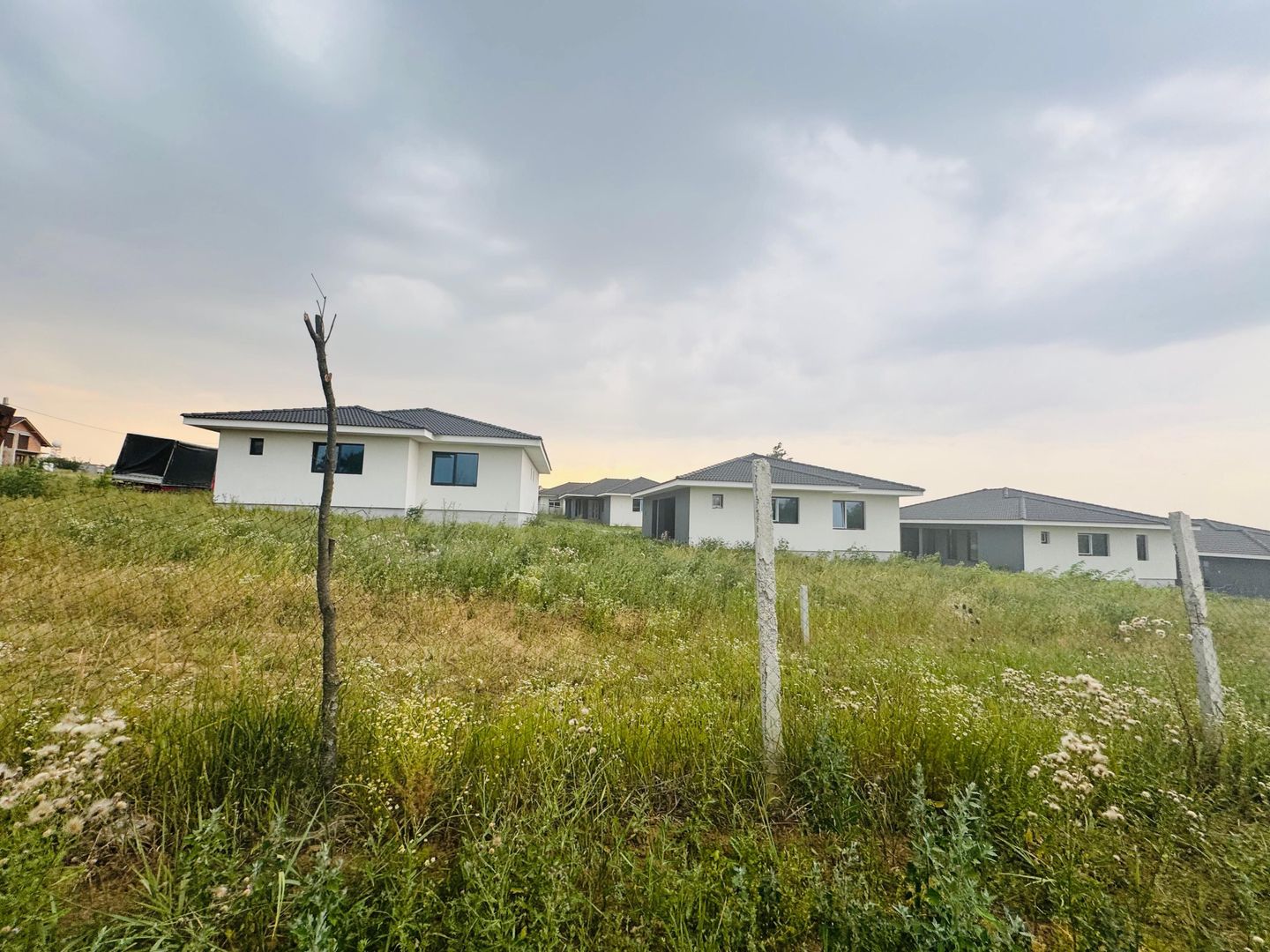 Teren intravilan de vânzare Paleu, zona Piersicilor langa padure - Poză 2