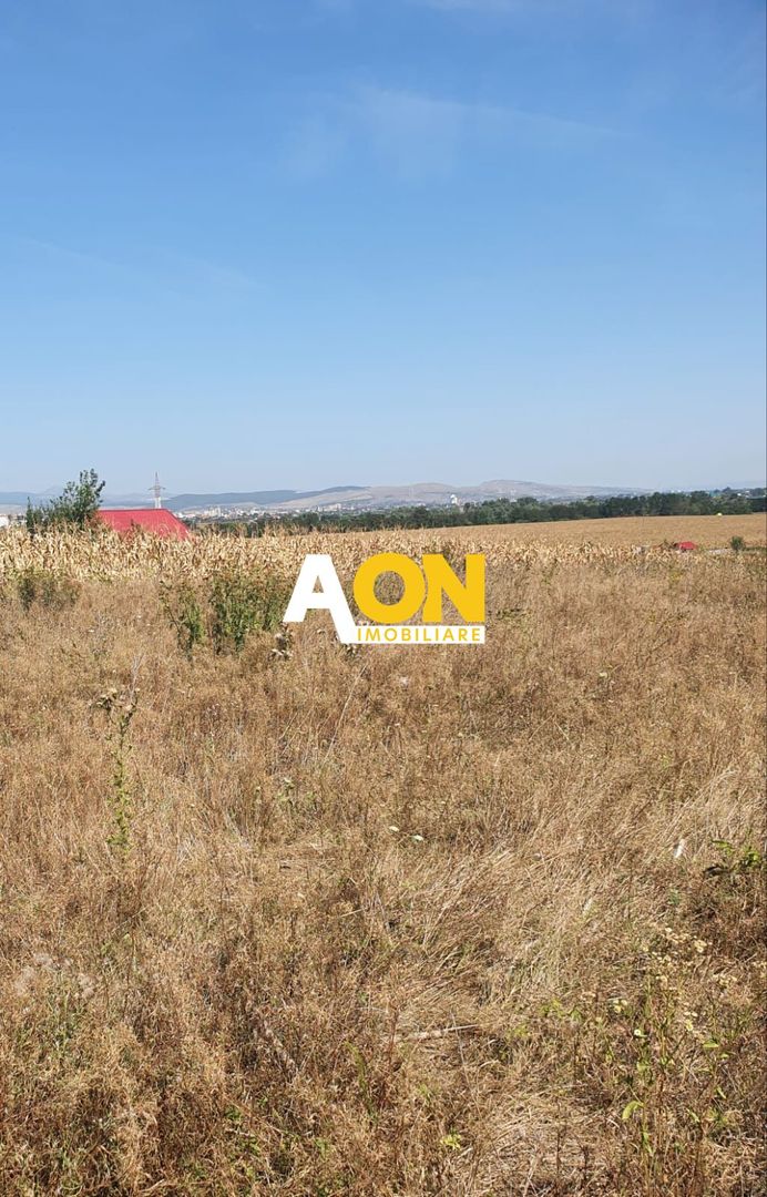 Oportunitate investitie. Oarda de Jos, 16 parcele de 490 mp - Poză 2