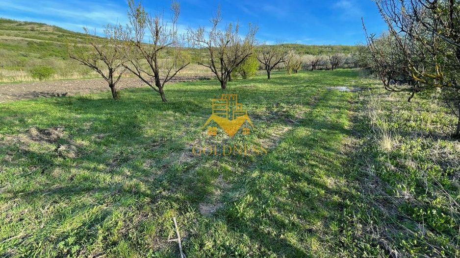 Tren Soporului Intravilan ,5500 MP Utilitati,  Oportunitate - Poză 4