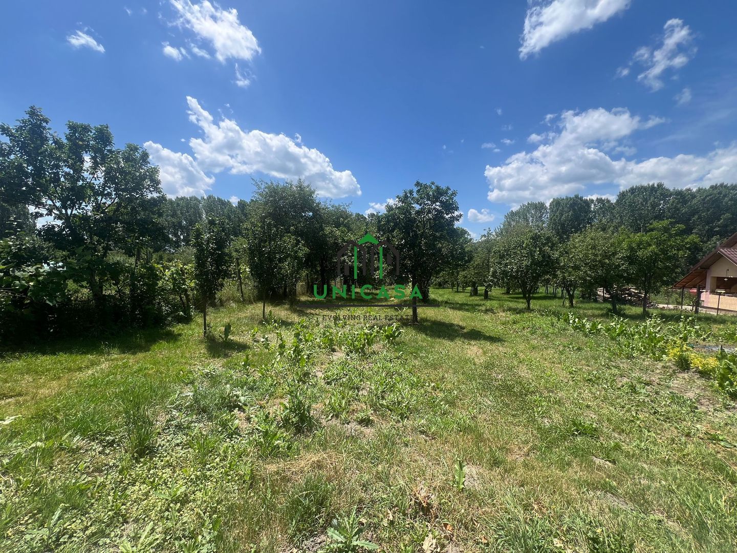 Teren Fedelesoiu/3200 mp/Intravilan - Poză 1