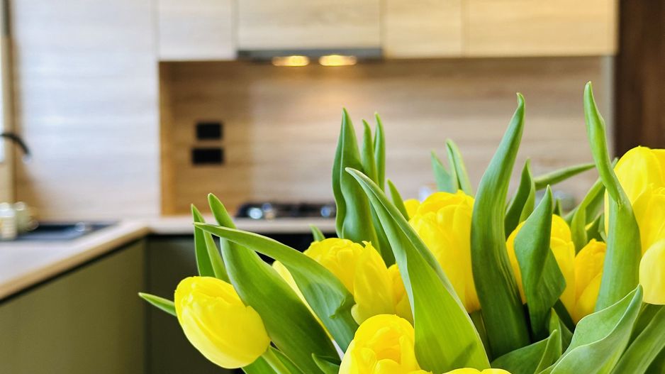 Oferta Inchiriata - Casa Segmentul Premium, 180 mp | Garaj&Gradina | Fropin - Poză 3