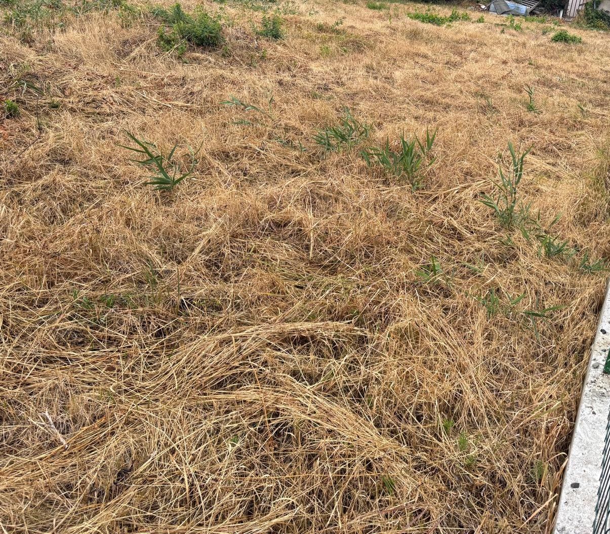 Teren 175 mp in Fratelia - Poză 2