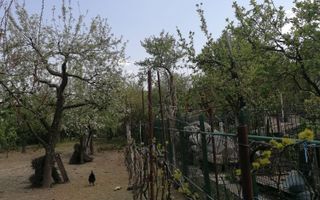 Ag EUROPA vinde casa 6 cam teren 11 ari în zona 14 Mai. - Poză 10