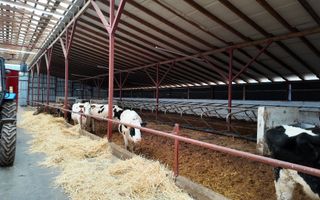 Vânzare, spațiu industrial, Raionul Glodeni, Satul Hîjdieni - Poză 3