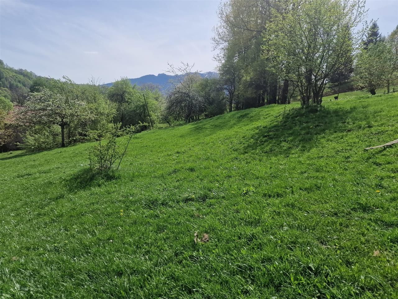 Langa emblematicul Castelul Bran, in areal colinar, 5.700mp intravilan - Poză 15