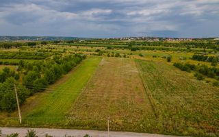 Vânzare, teren, 50 ari, str. Tineretului, Trușeni - Poză 6