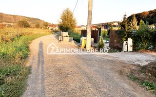 De vanzare 2 terenuri de 29.500 mp si 1.400 mp.29 euro mp - Poză 6