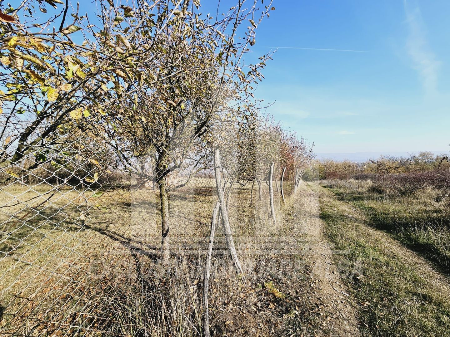 Teren intravilan de vanzare, Podei - Poză 1