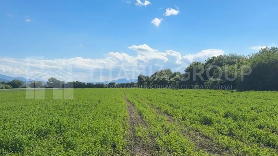 Teren intravilan 3h, Stupini -Str. Oitelor, asfalt si utilitati la 70 m - Poză 11