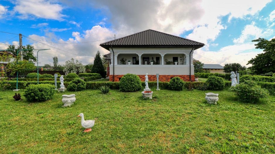 Oportunitate - Casă boierească  de poveste- 7000 mp teren - Poză 6