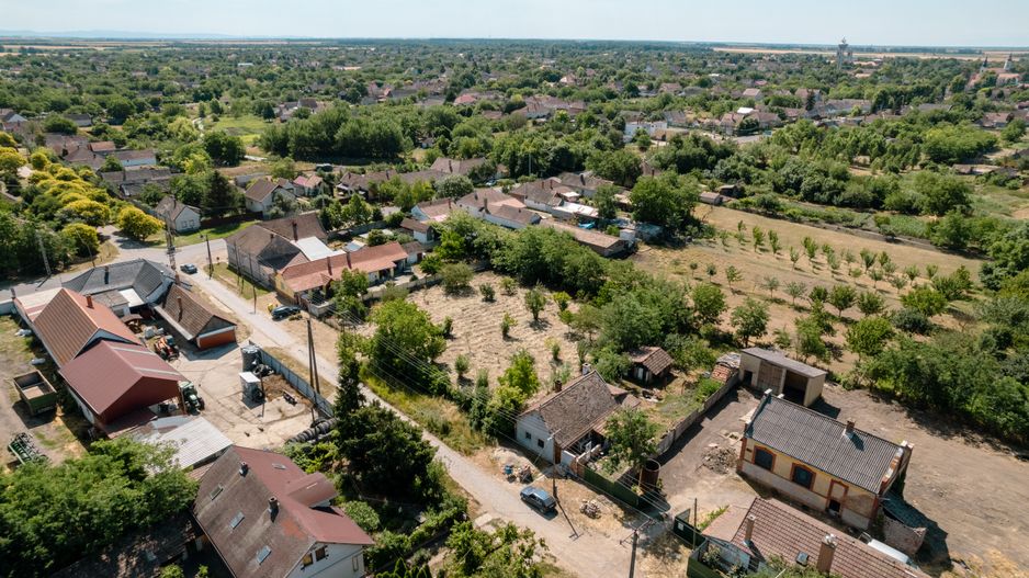 Casă cu teren 3332mp în Bătania - Poză 16