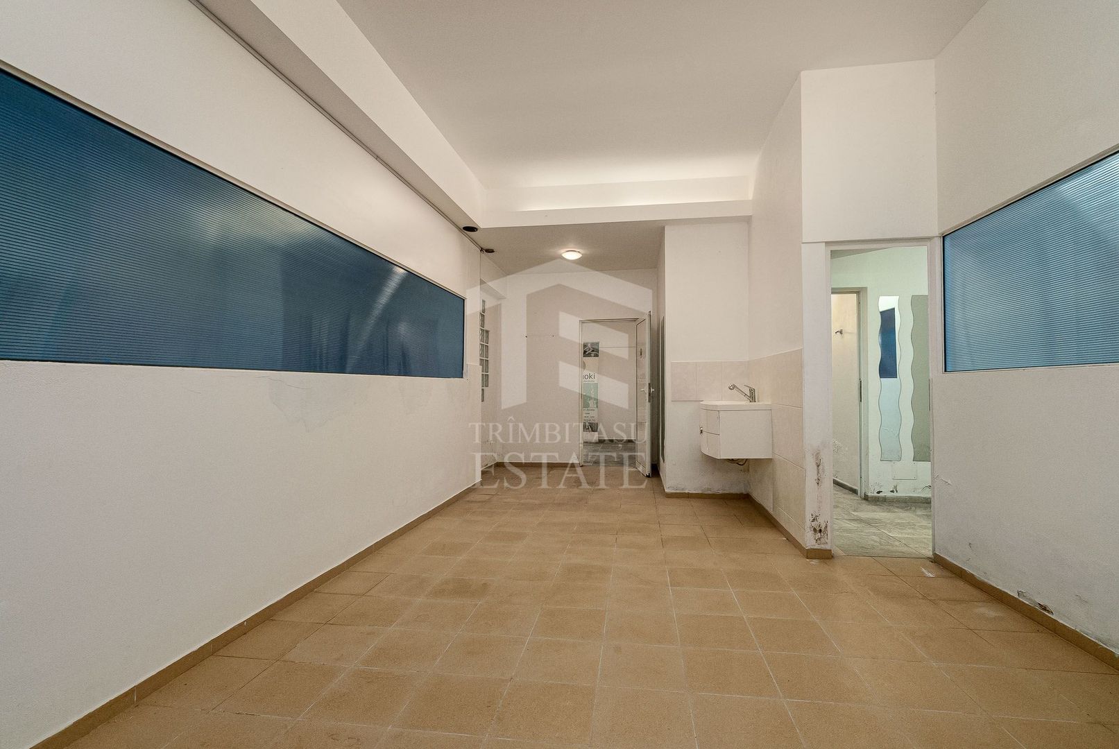 Spatiu comercial  424 mp  Oportunitati multiple - Baneasa Jandarmeriei - Poză 2