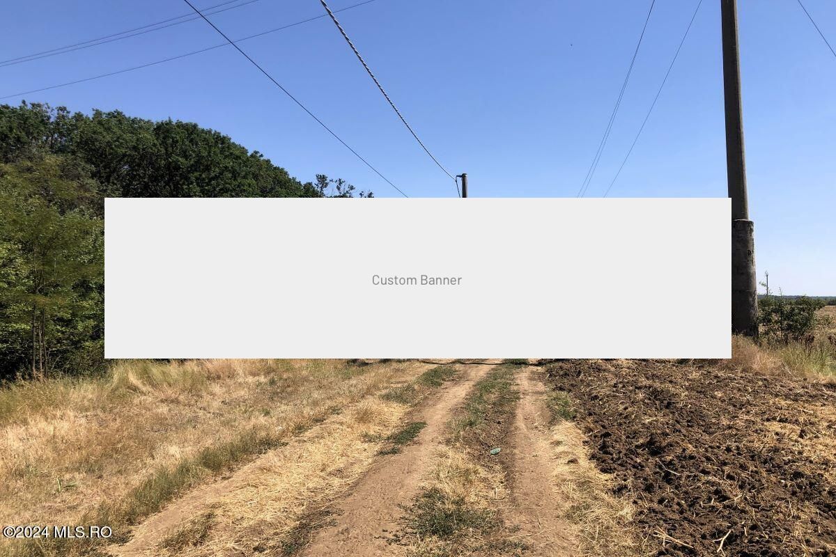 Moara Vlasiei - langa Padurea Biglaru, 11.884 mp, deschidere 40 ml - Poză 1