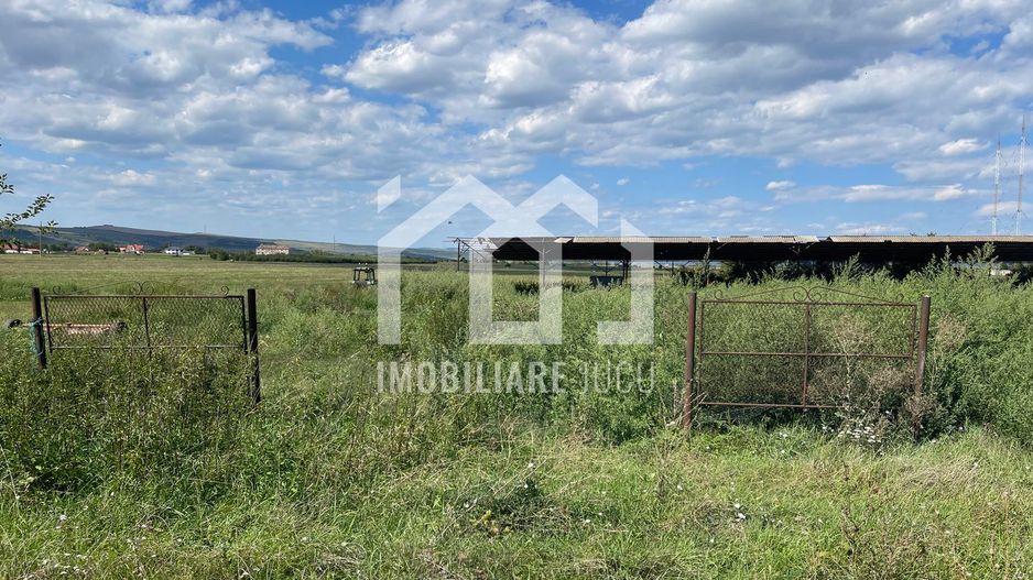 Teren 3000 mp Jucu de Sus | 4 case | utilități | drum județean | 60€/m - Poză 7