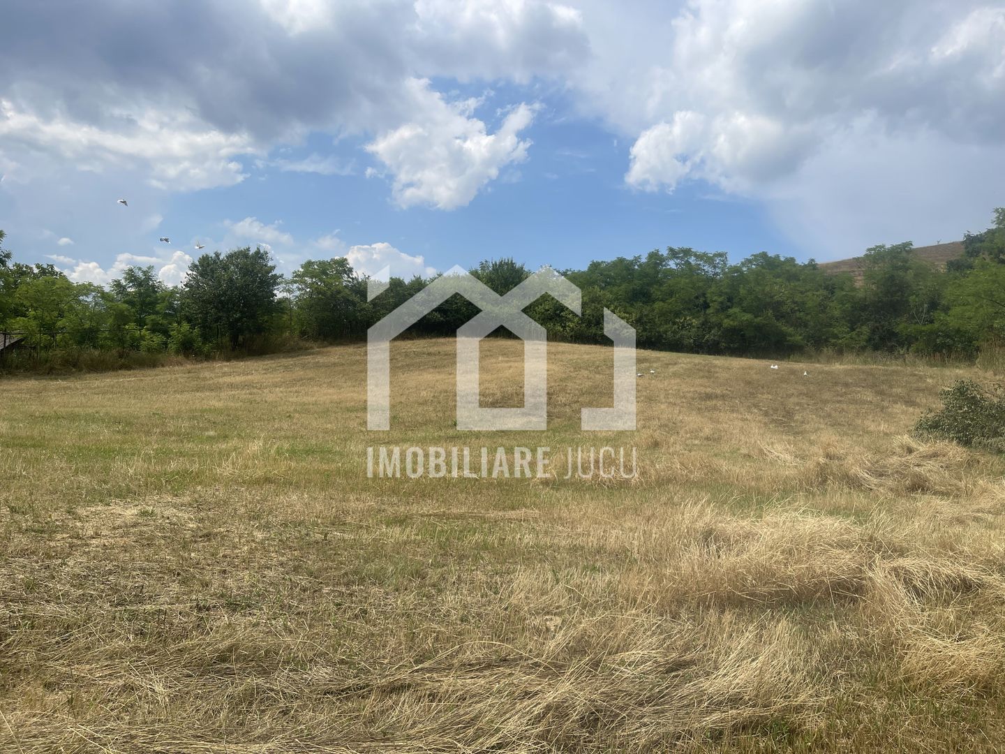 Teren Intravilan Constructrii 2258mp - Gadalin - Poză 5