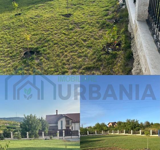 Teren intravilan 1000 mp, Iasi, Bucium, Str. Teascului - Poză 5