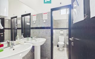 Spațiu de birouri zona Aradului - Poză 8