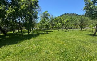 TEREN INTRAVILAN 3477 MP STOENEȘTI BĂDENI ARGEȘ - Poză 15