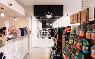 SPAȚIU VERSATIL DE VÂNZARE /  211 MP UTIL – 📍 Bulevardul Octavian Goga, Unirii - Poză 10