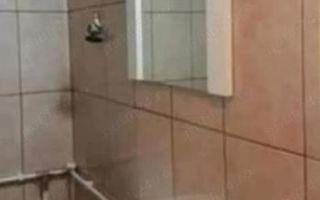 Garsoniera Aradului etaj 4 - Poză 6