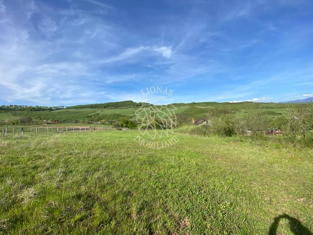 Teren 2160 mp - pretabil pentru cabana - investitie - Jelna - Poză 2