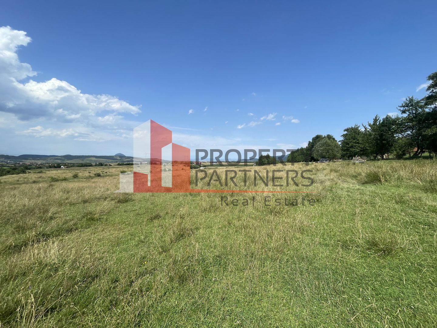 Teren de vanzare in  Tohanu Nou-Sohodol 6200 mp - Poză 6