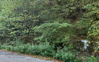 Teren extravilan de vânzare – Lacul Cinciș - Poză 7