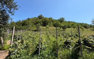 🏡 CASĂ BĂTRÂNEASCĂ DE VÂNZARE – SĂNDULENI,  💥 Comision 0% - Poză 4