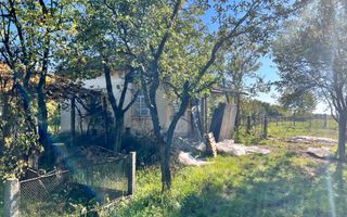 Vând proprietate deosebită, 8 km de Satu Mare – Apateu - Poză 7