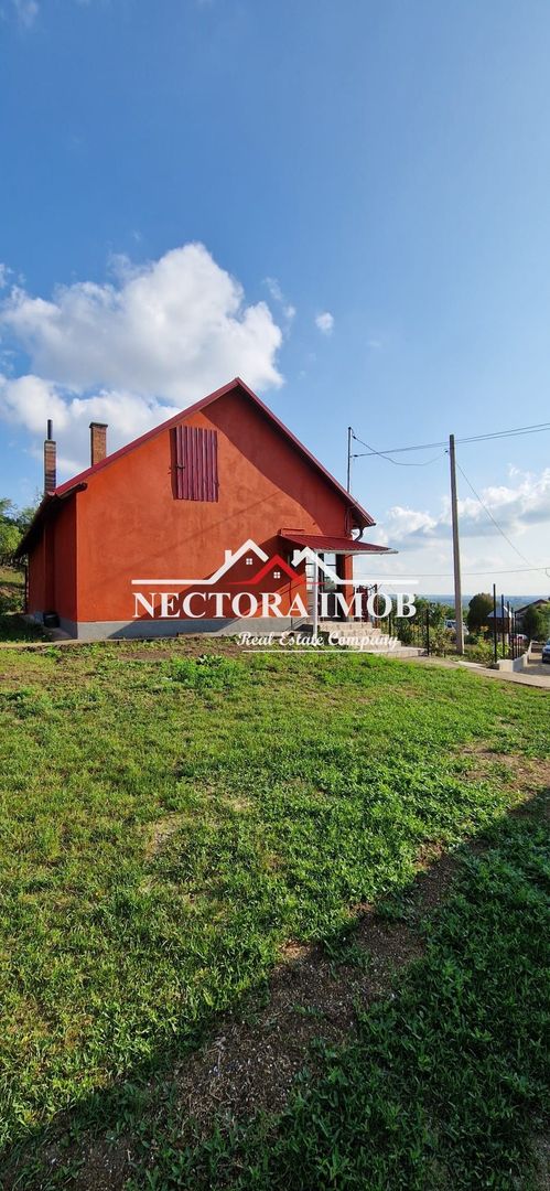 NECTORA IMOB-Casa Zona Podgoria cu 3 incaperi, 1700 mp teren,tip Conac - Poză 3