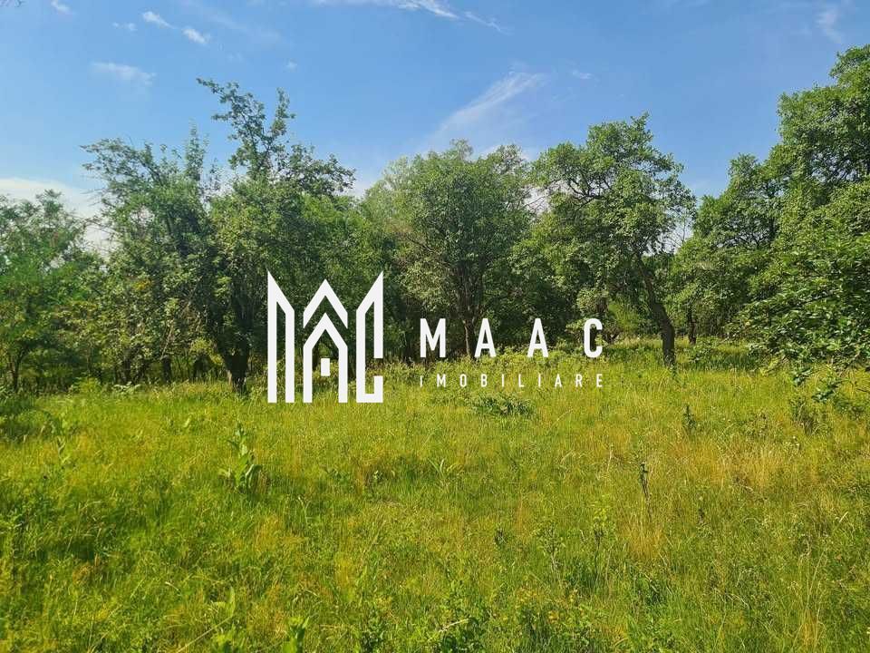 Teren | 12.922 MP | Loamneș - Poză 1